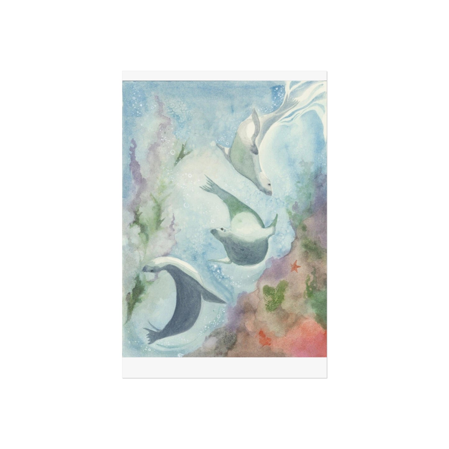 ‘Seal Spirit’ Fine Art Giclee Print/Poster