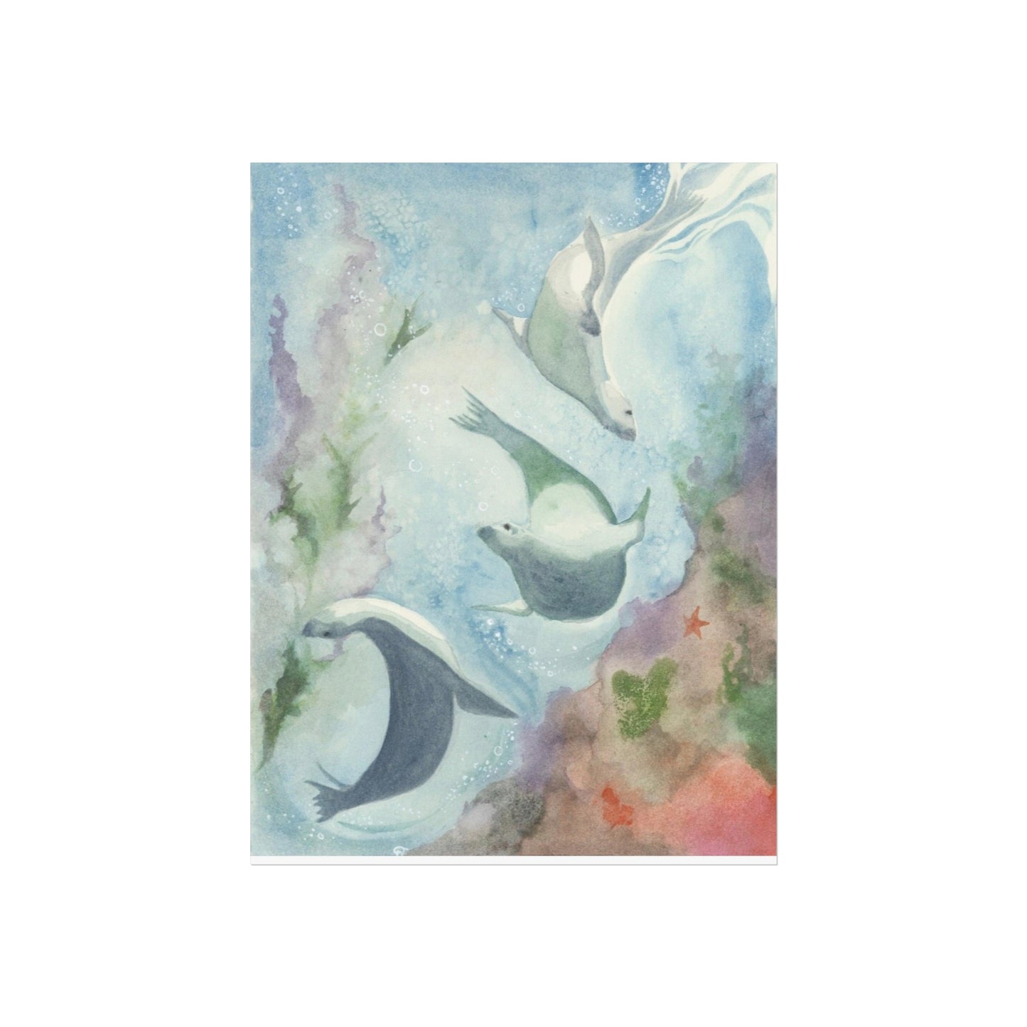 ‘Seal Spirit’ Fine Art Giclee Print/Poster