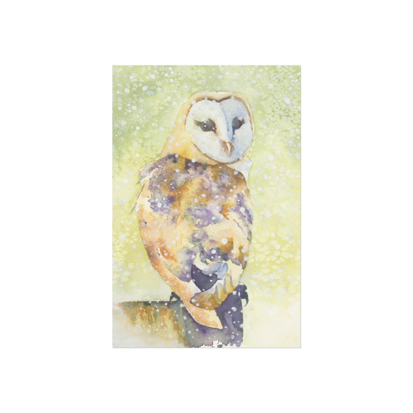 ‘Barn Owl in Snow’ Fine Art Print