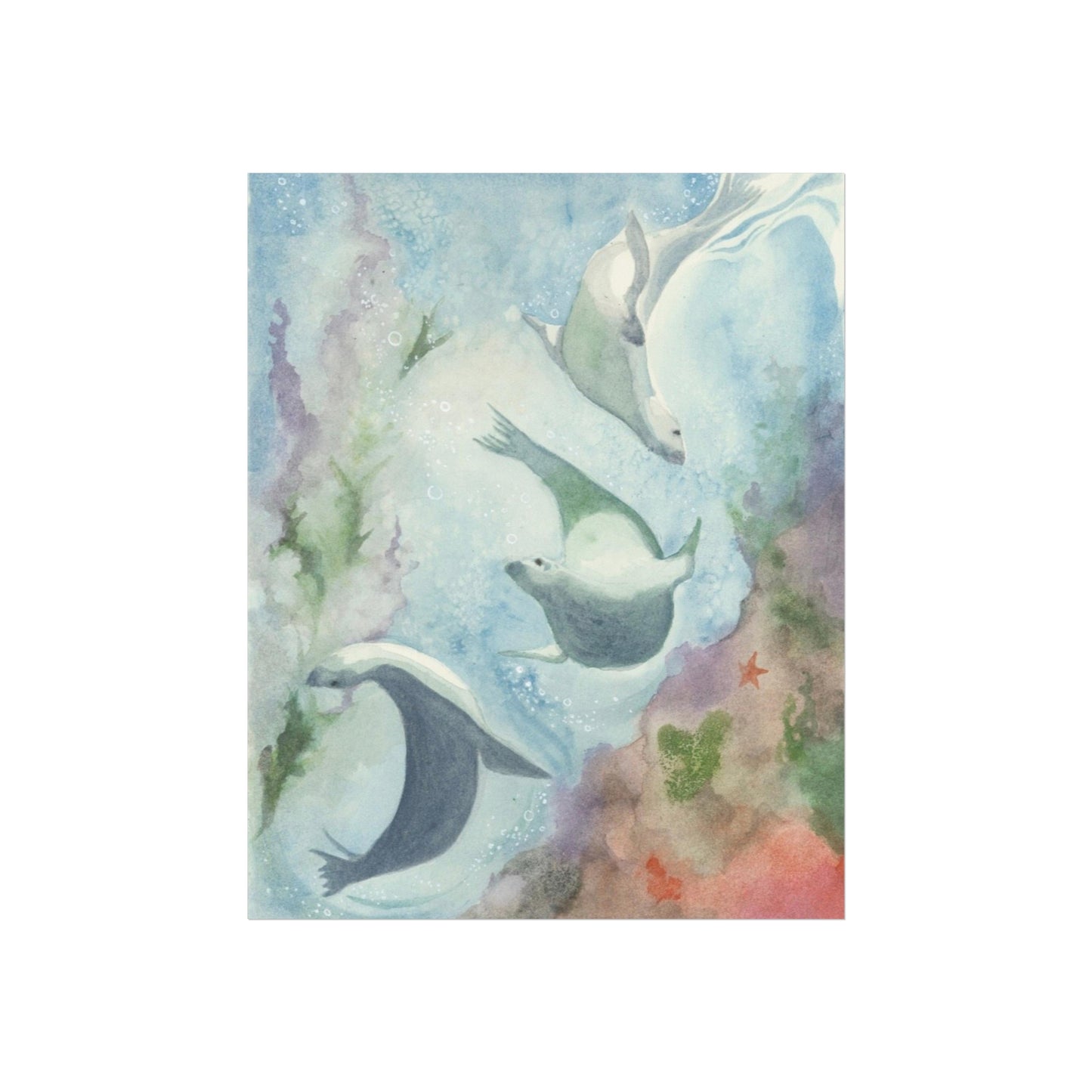 ‘Seal Spirit’ Fine Art Giclee Print/Poster