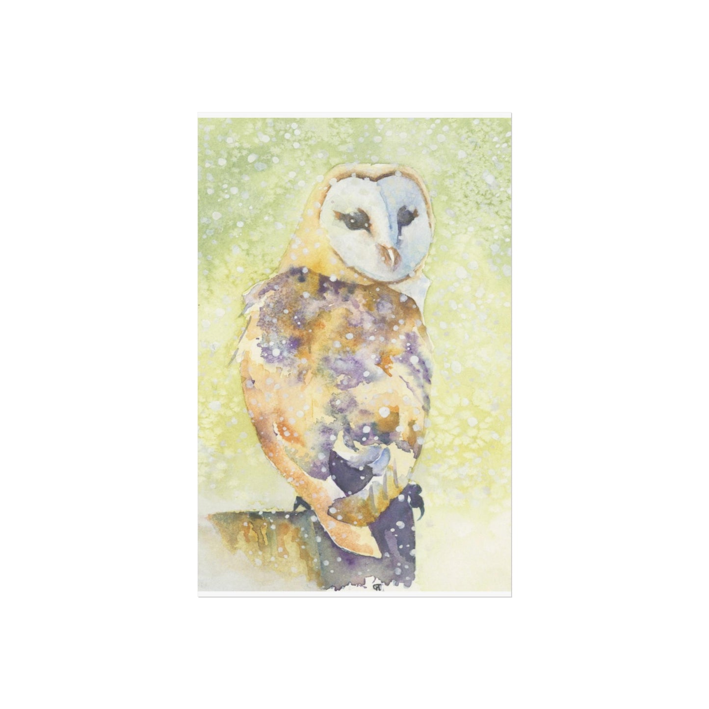 ‘Barn Owl in Snow’ Fine Art Print