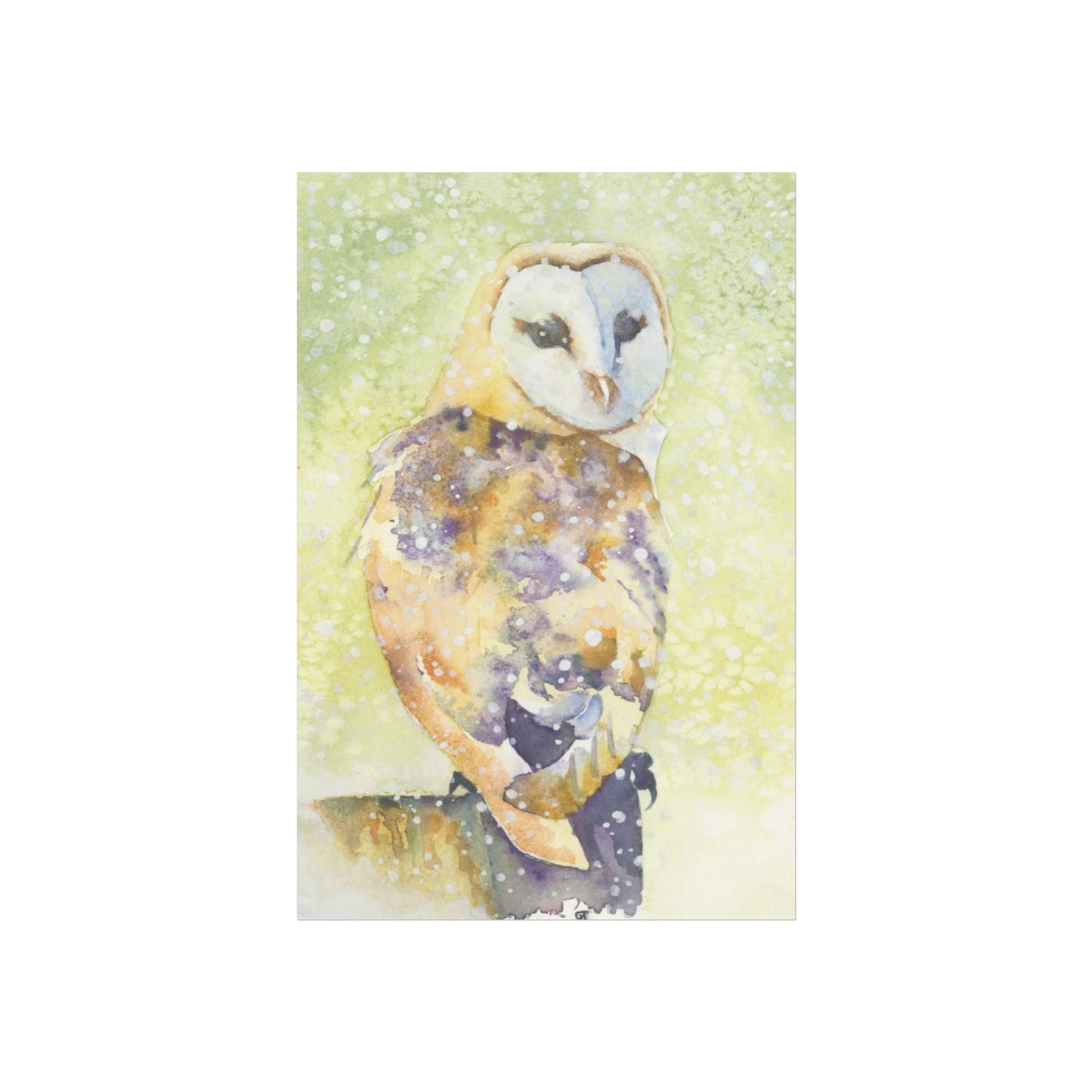 ‘Barn Owl in Snow’ Fine Art Print