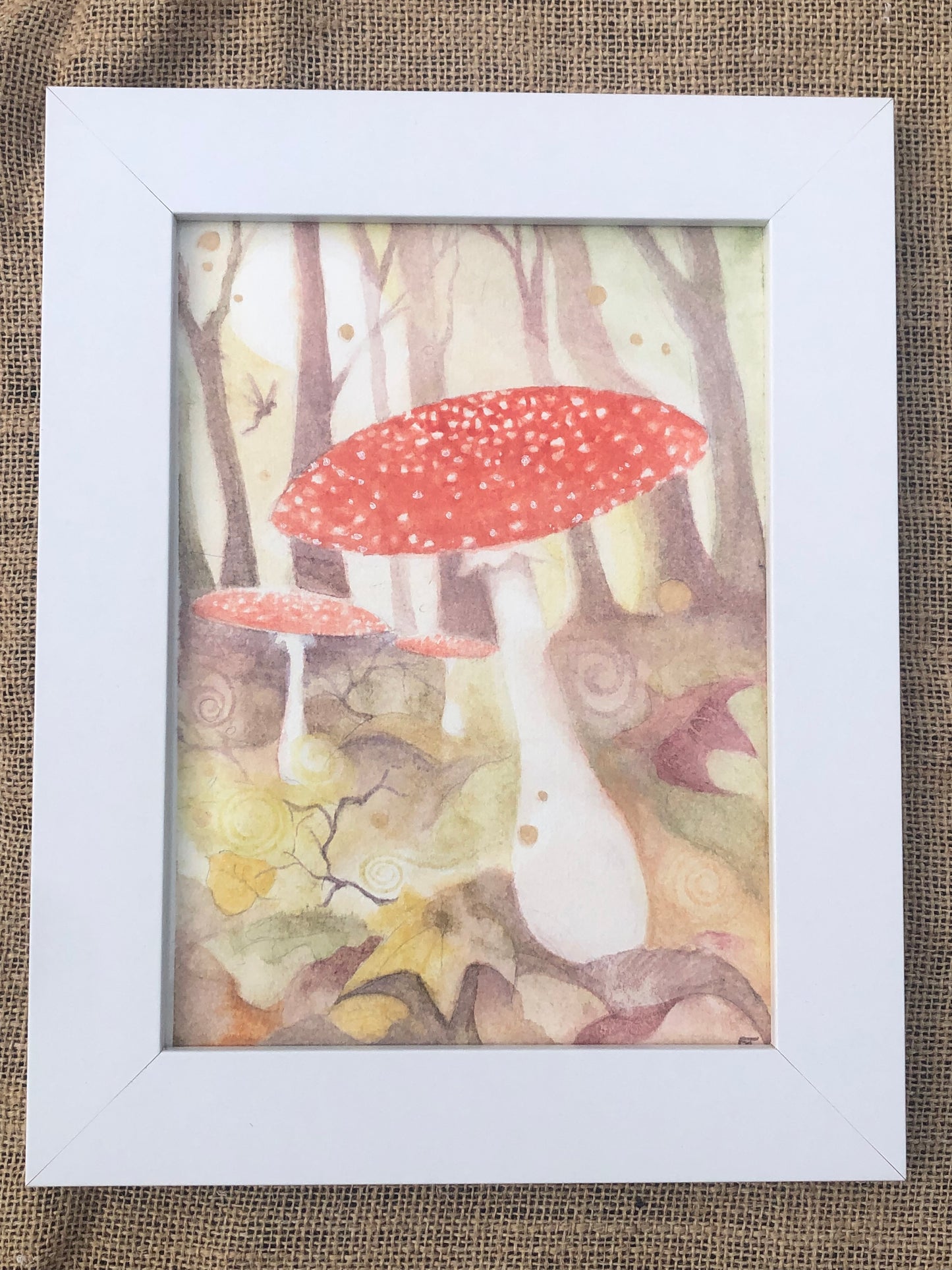 ‘Faery Mushroom’