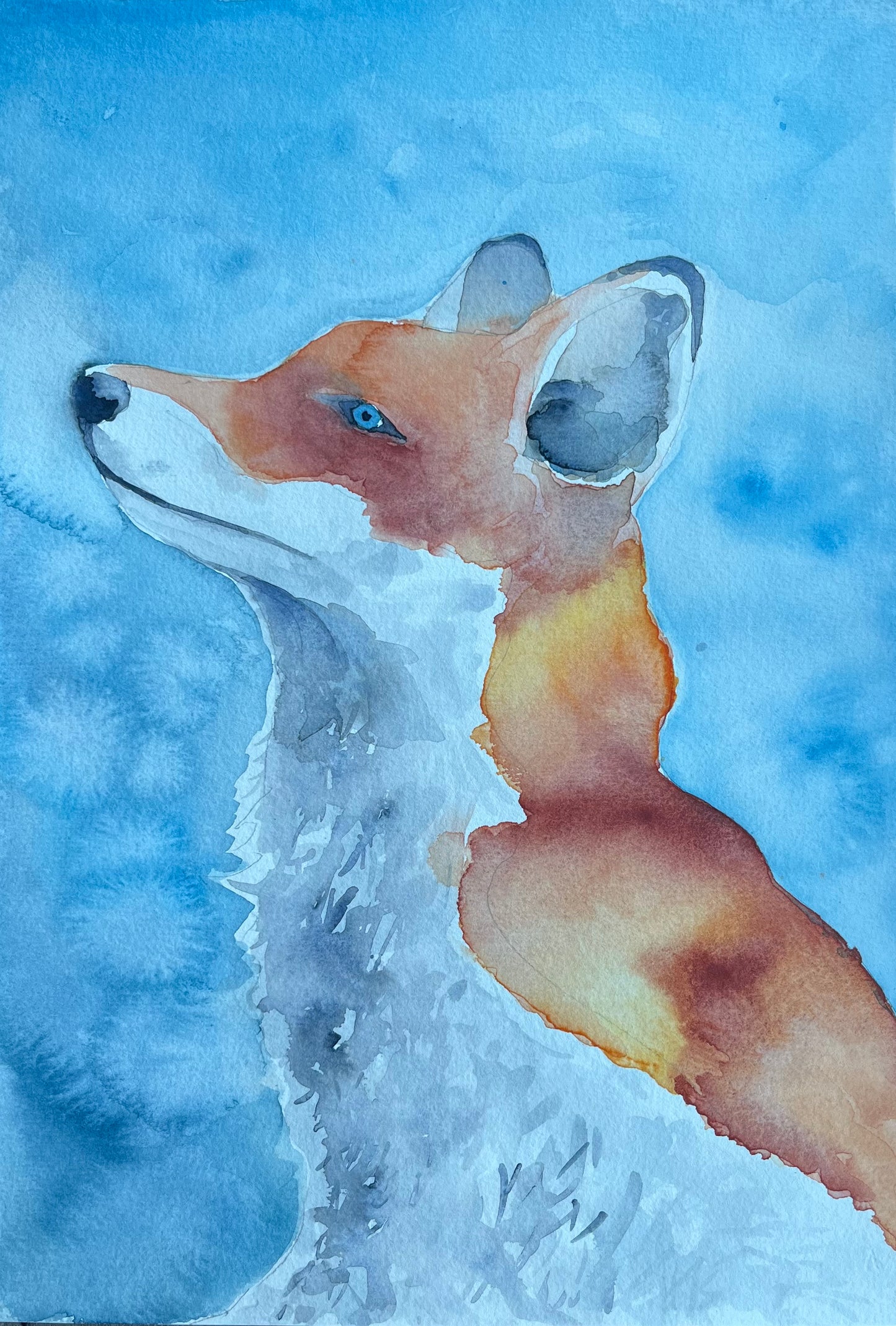 ‘Fox on cold morning’. Watercolour by Gemma Thody