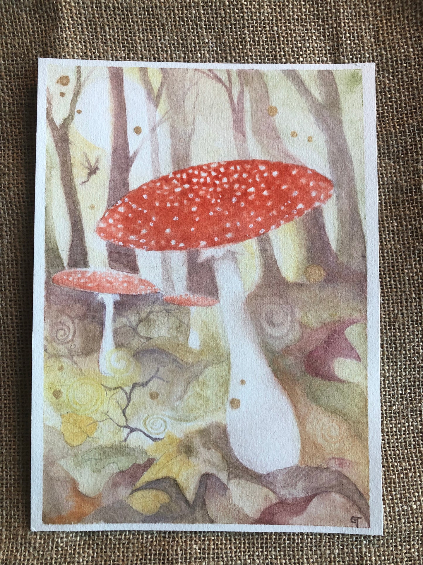 ‘Faery Mushroom’